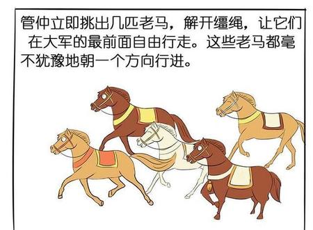 古代的战马(古代战马有多高)